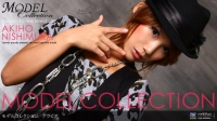 Model Collection select...80@OrA