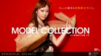 Model Collection select...87@XyVI