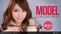 Model Collection select...110 ZuʃA